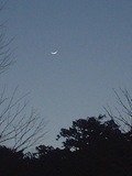 s-DSCF0225.jpg