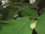 s-DSCF0819.jpg