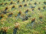 s-DSCF1683.jpg