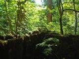 s-DSCF2319.jpg