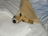 s-DSCN0220.jpg