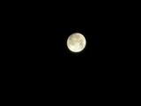 s-DSCN1471.jpg