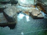 200511238c8ded50.jpg