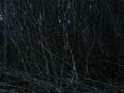 s-DSCN0094
