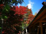 s-DSCN01201
