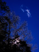 s-DSCN0144