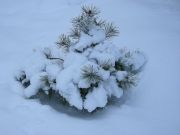 s-DSCN0178