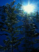 s-DSCN0368