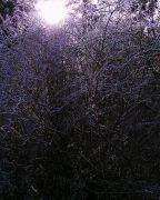 s-DSCN0521