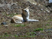 s-DSCN0746