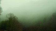 s-DSCN0934