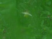 s-DSCN1715
