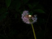 s-DSCN2190