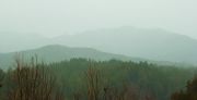 s-DSCN3307