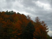 s-DSCN3346