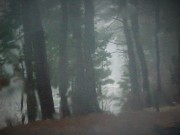 s-DSCN3775