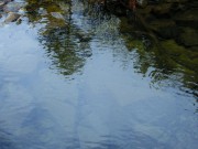 s-DSCN3801