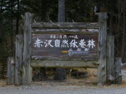 s-DSCN4153
