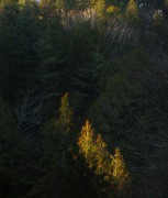 s-DSCN5172