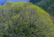 s-DSCN5301