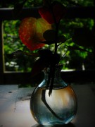 s-DSCN6012