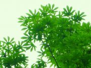 s-DSCN61021