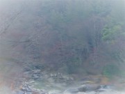 s-dscn6628