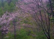 s-DSCN8082