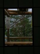 s-DSCN8818