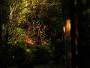 s-dscn0898.jpg