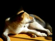 s-dscn1106.jpg