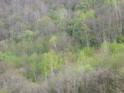 s-dscn2916.jpg