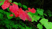 s-dscn3269.jpg