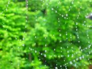 s-dscn4860.jpg