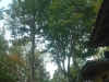 DSCF0015.jpg