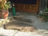 DSCF0035.JPG
