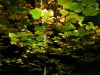 dscn1525
