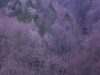 dscn2839