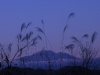 dscn9955