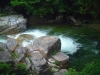s-DSCF0015.jpg