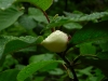 s-dscn0078.jpg