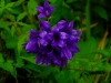 s-dscn0402.jpg