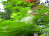 s-dscn0648.jpg