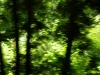 s-dscn0860.jpg