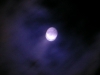 s-dscn1141.jpg