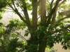 s-dscn1154.jpg