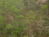 s-dscn2896.jpg