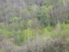 s-dscn2916.jpg
