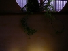 s-dscn2934.jpg