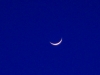 s-dscn2950.jpg